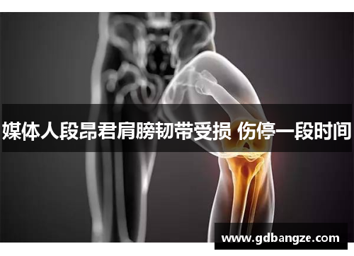 媒体人段昂君肩膀韧带受损 伤停一段时间